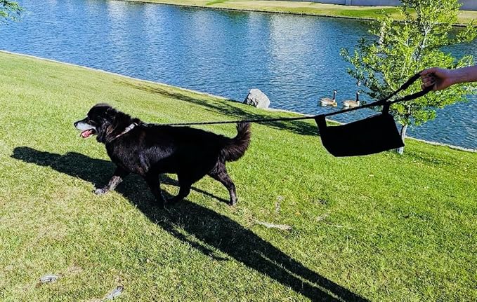 Koji's Leash Pack with Buttons | Hands-Free Dog Waste Carrier & Organizer | Anti-Swing Hammock Pouch for Used Poop Bags, Phone, & Keys | Secure Attachment for Running, Hiking & Walking (Made in USA)