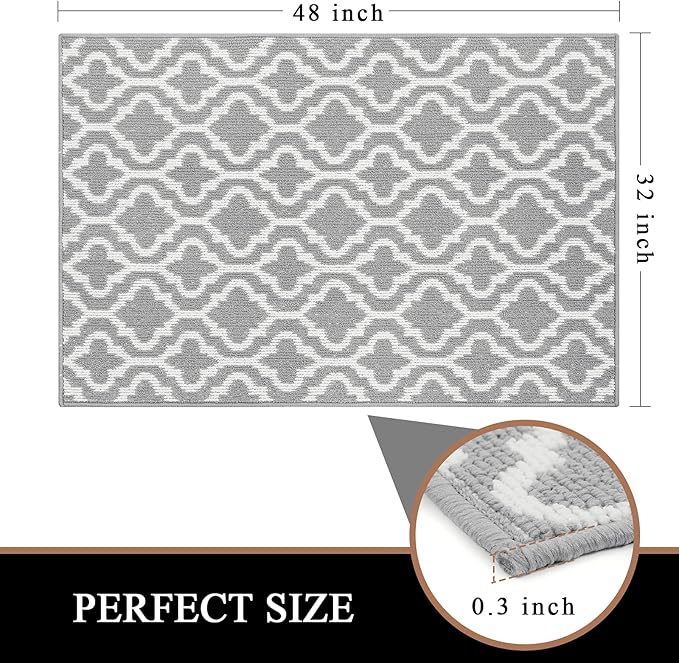HEBE Indoor Door Mat 32"x48" Non Slip Front Door Welcome Mats Washable Shoe Mats Dirt Trapper for Entryway Low Profile Kitchen Carpet for Entrance Hallways Entrance Mat for Dogs