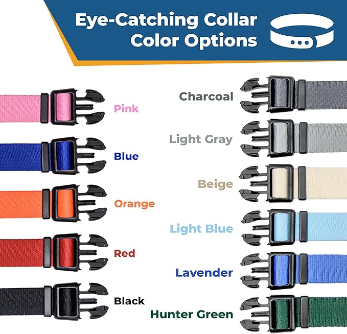 GoTags Personalized Dog Collar with Nameplate, Adjustable Dog Collar with Custom Engraved Slide On Pet ID Tag in Stainless Steel, Silent, No Noise Dog Tag for Large Medium and Small (Orange, Small)