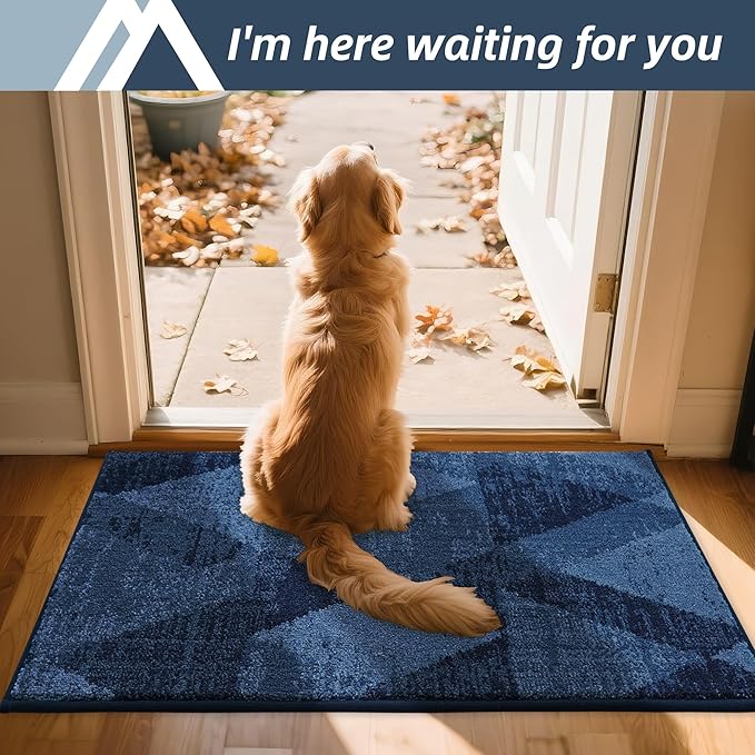 COSY HOMEER Entryway Rugs Doormat 20"x32", Non-Slip Absorbent Polyester, Washable Rugs for Front Door, Dirty Paws & High Traffic Areas, Blue