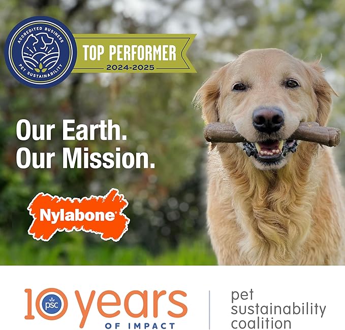 Nylabone Ergonomic Hold Wishbone Power Chew Toy for Dogs, Dog Toys for Aggressive Chewers, Bison Flavor, Large - Up to 50 lbs, 1 Count