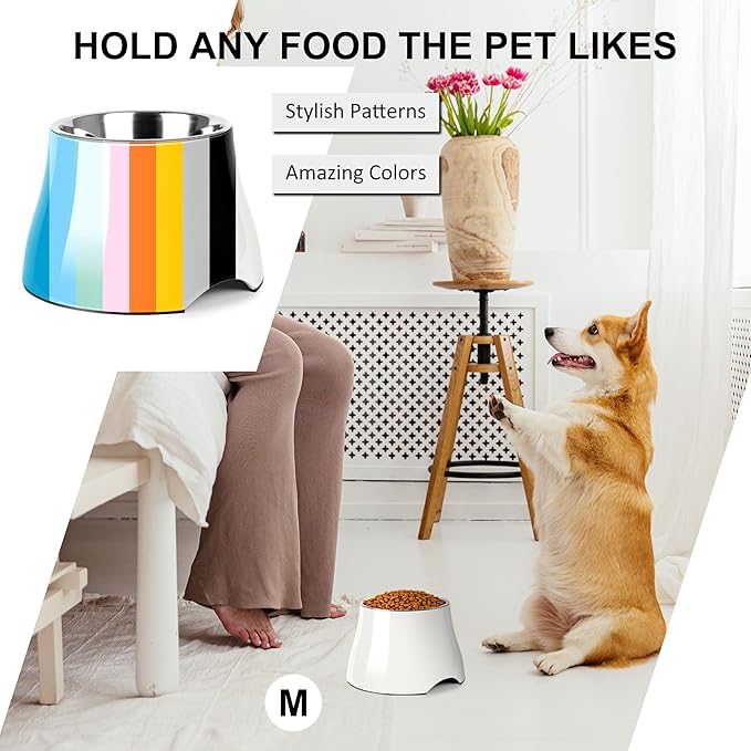Dog Bowls,Cone Friendly Non Slip Single Dog Bowl with Stainless Steel Inner, Raised Bowls for Small Dogs Spaniel Dogs Long Ear, High Capacity, M/2 Cup White