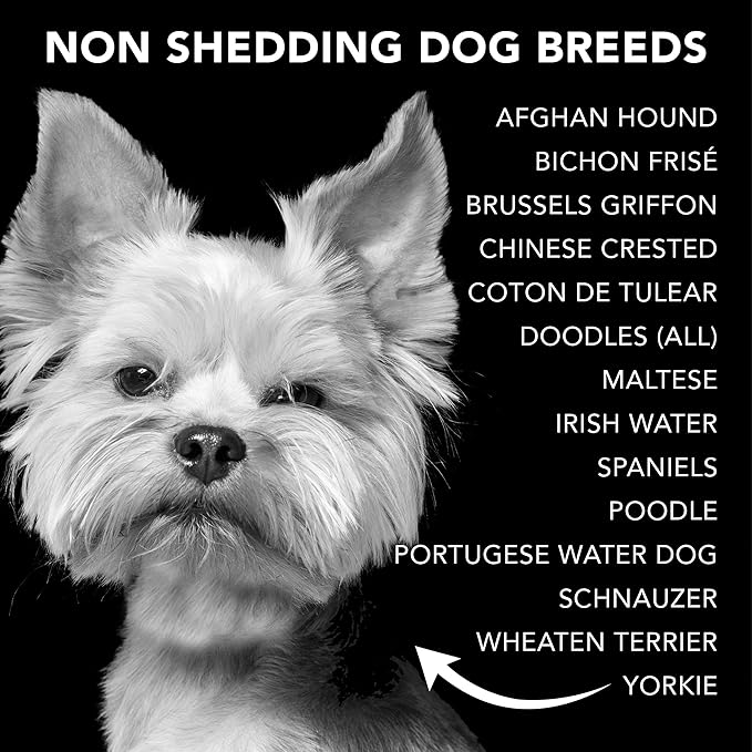 Pride and Groom The Non Shedder | Dog Grooming Shampoo for Doodles and Dogs That Do Not Shed | Tearless All Natural Body Wash with Coat-Specific Ingredients That Enhance Shine – 16oz