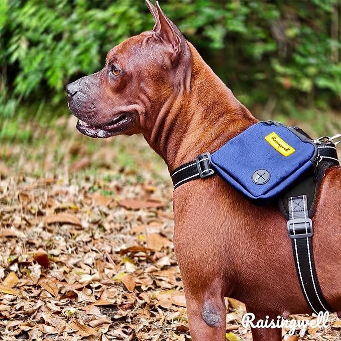 Raisingwell Dog Treat Pouch for Pet Walking and Training with Clicker Poop Bags Small Fanny Zipper Pack Holder for Puppy Snack Dispenser Kit for Leash and Outdoor Use (Blue)
