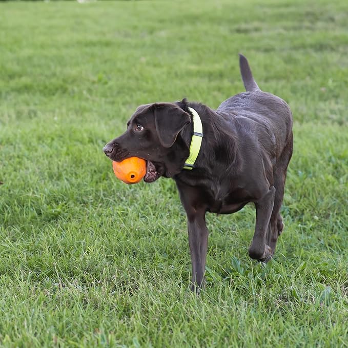 Chew King Premium Treat Dog Toy, Extremely Durable Natural Rubber Toy, Bacon Flavored Dog Toy