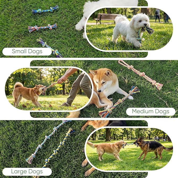 Aitmexcn Dog Rope Toys for Small and Medium Dogs, 10 Pack Puppy Teething Cotton Chew Tug Ropes, Indoor Outdoor Interactive Tug of War Toy Set, Sturdy Knot Toys for Dental Care and Boredom Relief