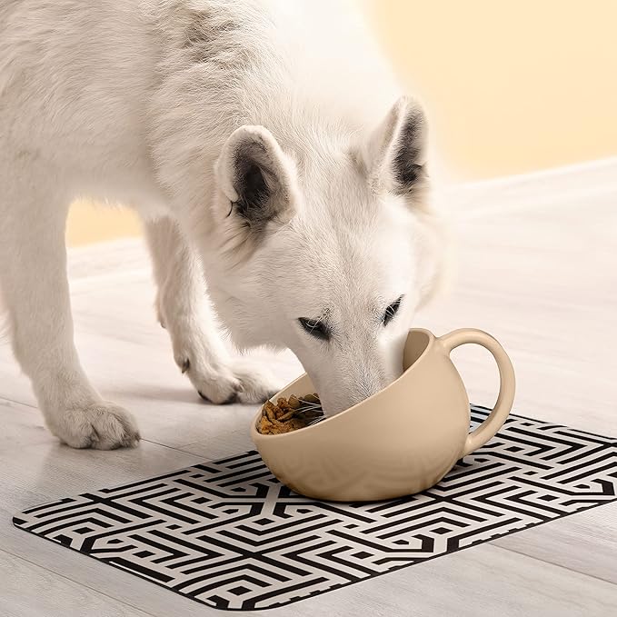 DogBuddy Dog Bowl, Bowls for Large Dogs, Non-Slip Pet Bowl, Dog Water Bowl, Food Bowls for Dogs (Standard, White Sand)