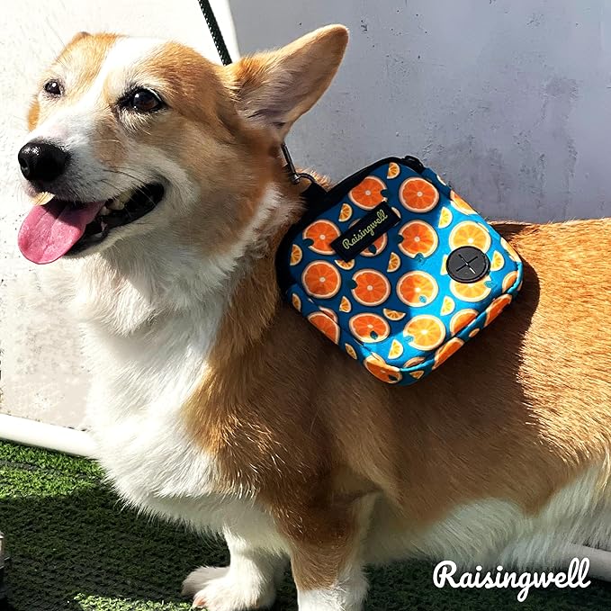 Raisingwell Dog Treat Pouch for Pet Walking and Training with Clicker Poop Bags Small Fanny Zipper Pack Holder for Puppy Snack Dispenser Kit for Leash and Outdoor Use (Fruit Orange)