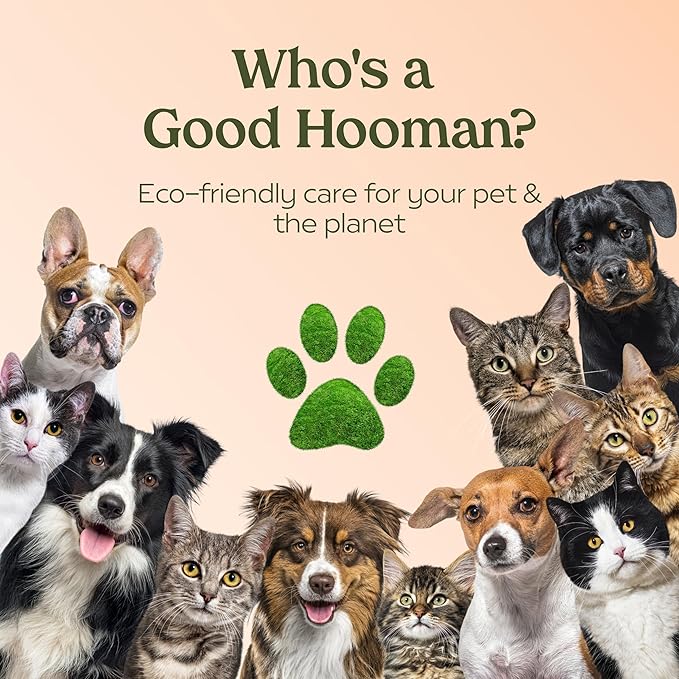 PAWFUME Dog Perfume Spray Long Lasting Scent for Grooming, Show Dog, 4-Pack – Keep Your Pup Fresh All Day – Hypoallergenic, Alcohol-Free, Detangling Formula – Moisturizing Pet Cologne Spray for Dogs