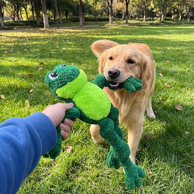 KONG Floppy Knots - Durable No‑Stuffing Squeaky Rope & Plush Dog Toy - for Teething, Playing - Frog - for Large/X-Large Dogs