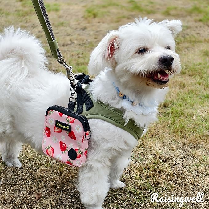 Raisingwell Dog Treat Pouch for Pet Walking and Training with Clicker Poop Bags Small Fanny Zipper Pack Holder for Puppy Snack Dispenser Kit for Leash and Outdoor Use (Strawberry)