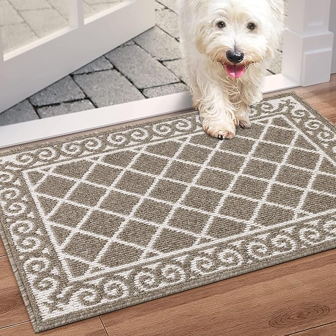 HEBE Indoor Door Mat 24''x36'' Non Slip Front Door Welcome Mats Washable Shoe Mats Dirt Trapper for Entryway Low Profile Kitchen Carpet for Entrance Hallways Entrance Mat for Dogs