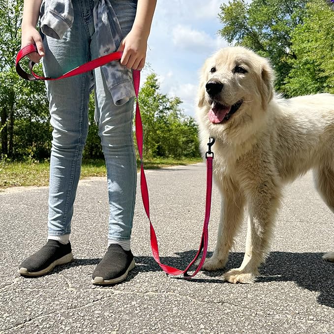 Joytale Dog Leash Heavy Duty for Large Dogs that Pull, Double Handle for Traffic Control, Double-Sided Reflective Leashes for Large Medium Dogs Night Safety, 5FT, Red