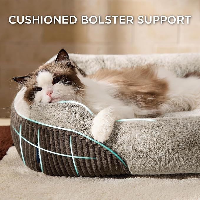 Bedsure Washable Dog Bed Small Dog&Cat- Rectangle Fluffy Plush Kitten Puppy Bed, Comfy Corduroy Fleece and Nonskid Bottom,20x19x6inches,Suitable for Pet Up to 15lbs,Brown