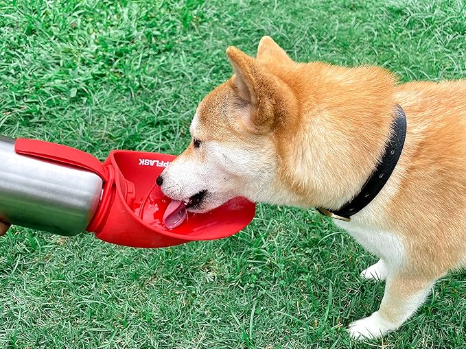 PupFlask Large Dog Water Bottle | 27 or 40 OZ Stainless Steel | Convenient Dog Drink Dispenser | Puppy Travel Water Bowl | Portable Pet Hydration Bottle | Leak Proof | Perfect Size For All Breeds