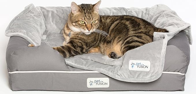 PetFusion Ultimate Dog Bed, Orthopedic Memory Foam, Multiple Sizes and Colors, Medium Firmness Pillow, Waterproof Liner, YKK Zippers, Breathable 35% Cotton Cover