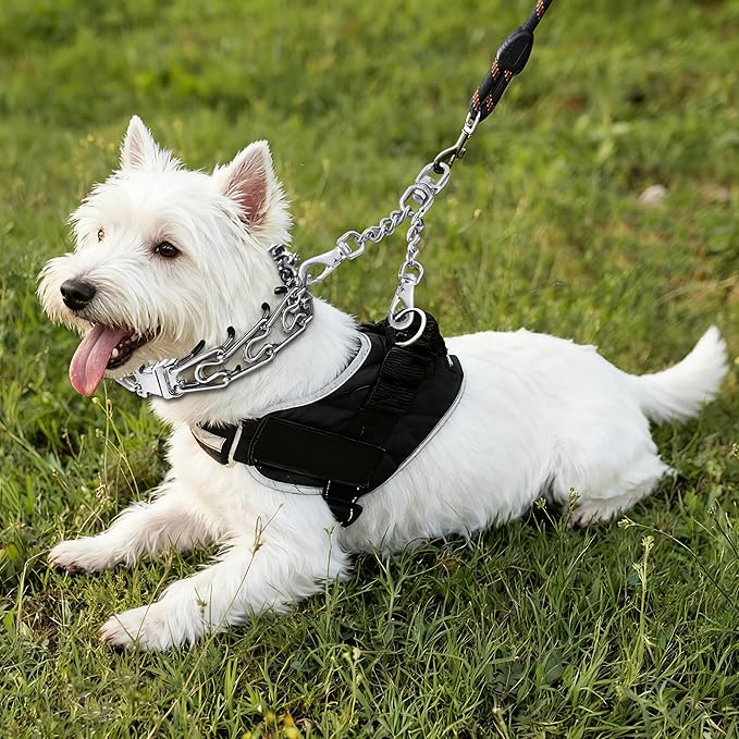 Leash Backup with Dual Clasps Prong Collar Safety Clip Stainless Steel Dog Safety Clip Collars and No Pull Harness Connectors