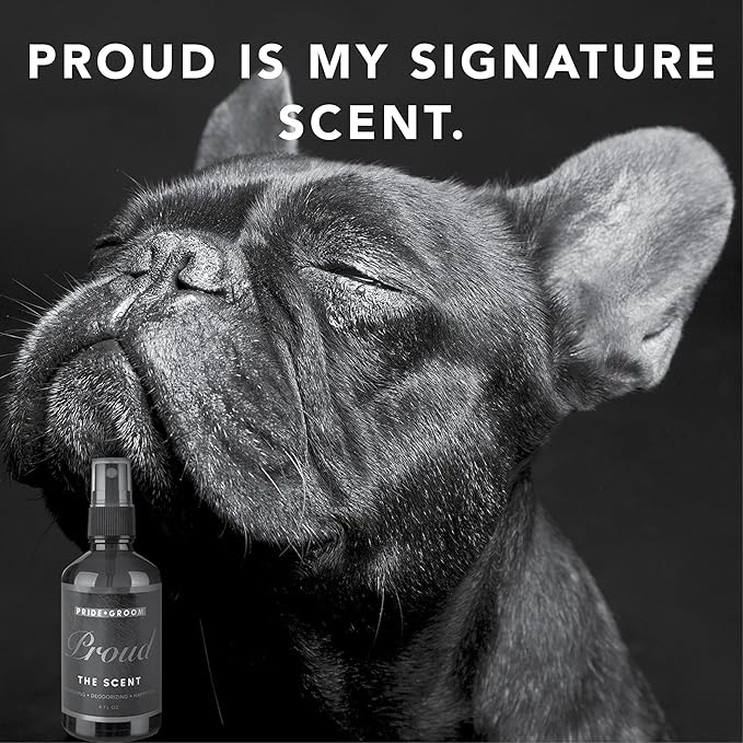 Pride and Groom Proud – Long Lasting Luxurious Dog Grooming Spray & Pet Deodorizer with Uniquely Uplifting, Fresh and Clean Signature Scent, Safe for Sensitive Skin & Noses – 4 fl oz