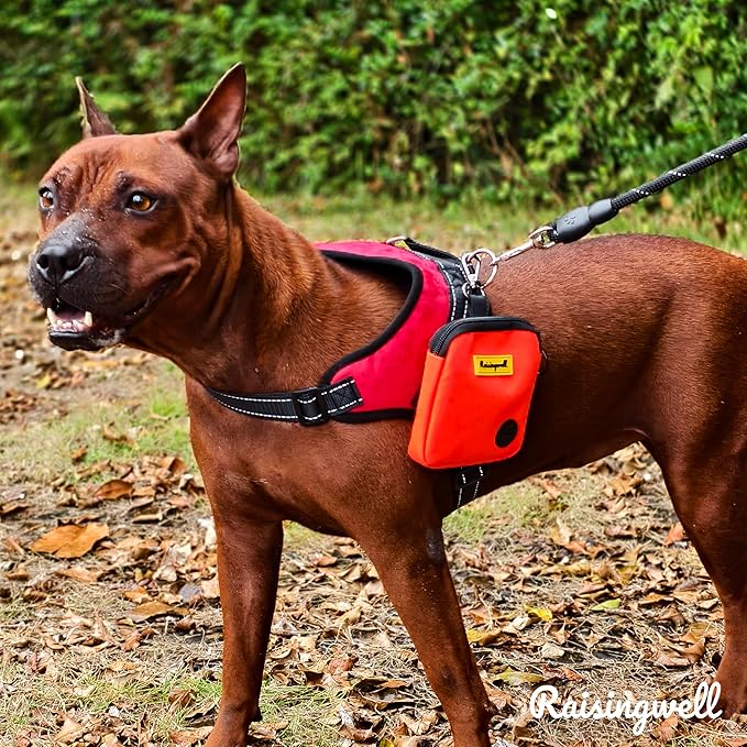 Raisingwell Dog Treat Pouch for Pet Walking and Training with Clicker Poop Bags Small Fanny Zipper Pack Holder for Puppy Snack Dispenser Kit for Leash and Outdoor Use (Orange)