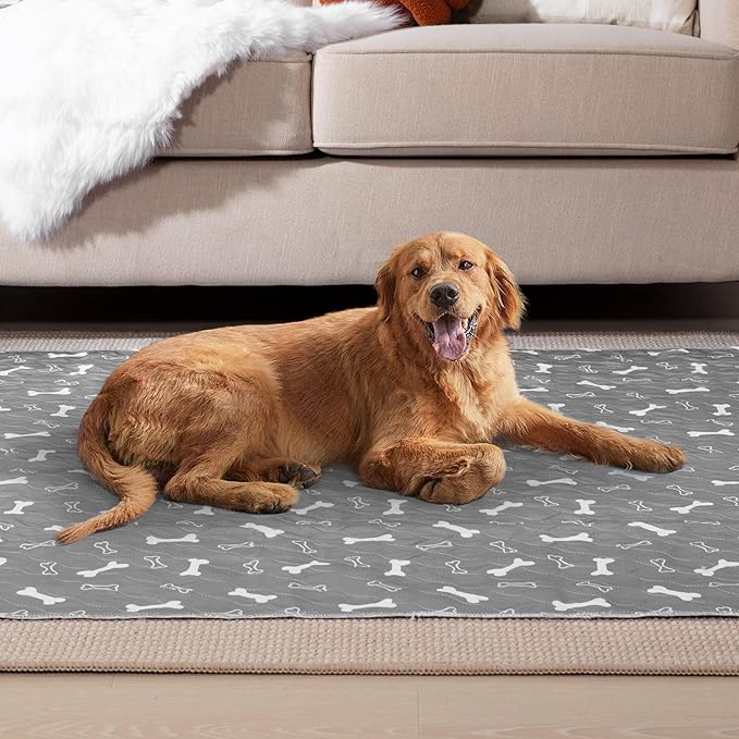 Eterish Reusable Washable Pee Pads for Dogs Extra Large 54'' x 54'' 2 Pack, Absorbent Pet Puppy Dog Training Pads Non-Slip, Waterproof Whelping Potty Pads for Dogs Leak-Proof