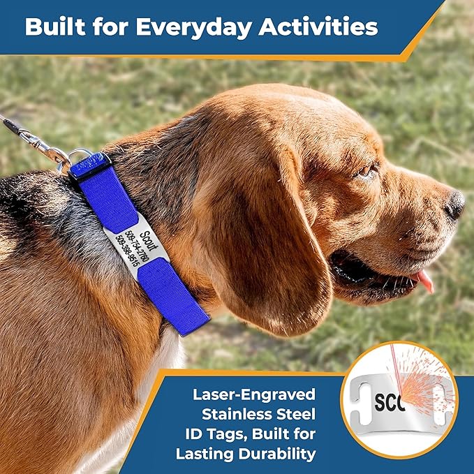 GoTags Personalized Dog Collar with Nameplate, Adjustable Dog Collar with Custom Engraved Slide On Pet ID Tag in Stainless Steel, Silent, No Noise Dog Tag for Large Medium and Small (Orange, Small)