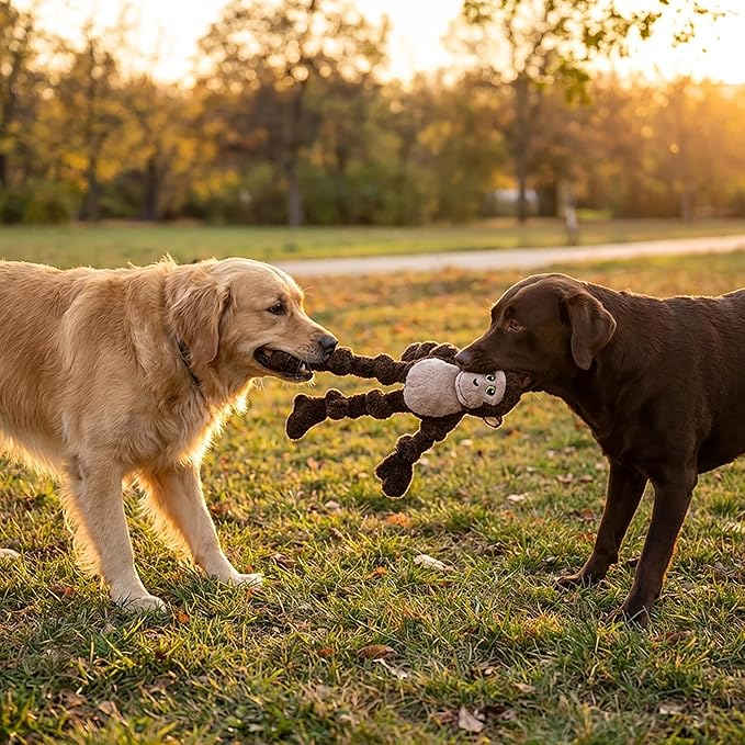 KONG Floppy Knots - Durable No‑Stuffing Squeaky Rope & Plush Dog Toy - for Teething, Playing - Monkey - for Large/X-Large Dogs