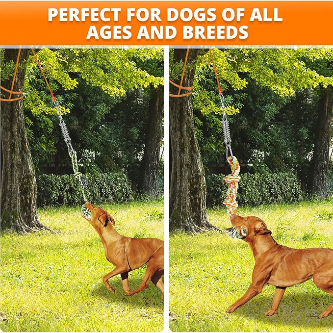 TT TRSMIMA Spring Pole Rope Toys: Rope Pull & Tug of War with a Big Spring Pole Kit & 2 Strong 16ft Toys - Muscle Builder Interactive Toy for Pitbull Medium to Large Dog