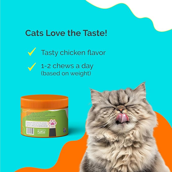 Joint Support Soft Chews Supplements | Cat Wellness Formula with Glucosamine | Joint Support & Pain Relief for Cats of All Ages | Vet-Approved Mobility Support | 200 Count