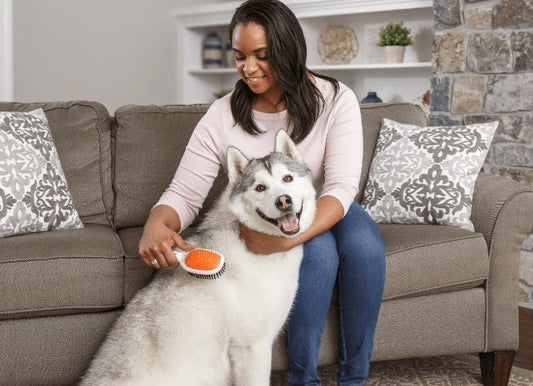 “A woman gently brushing her dog on a beige sofa in warm natural light, creating a calm daily pet care moment.”
