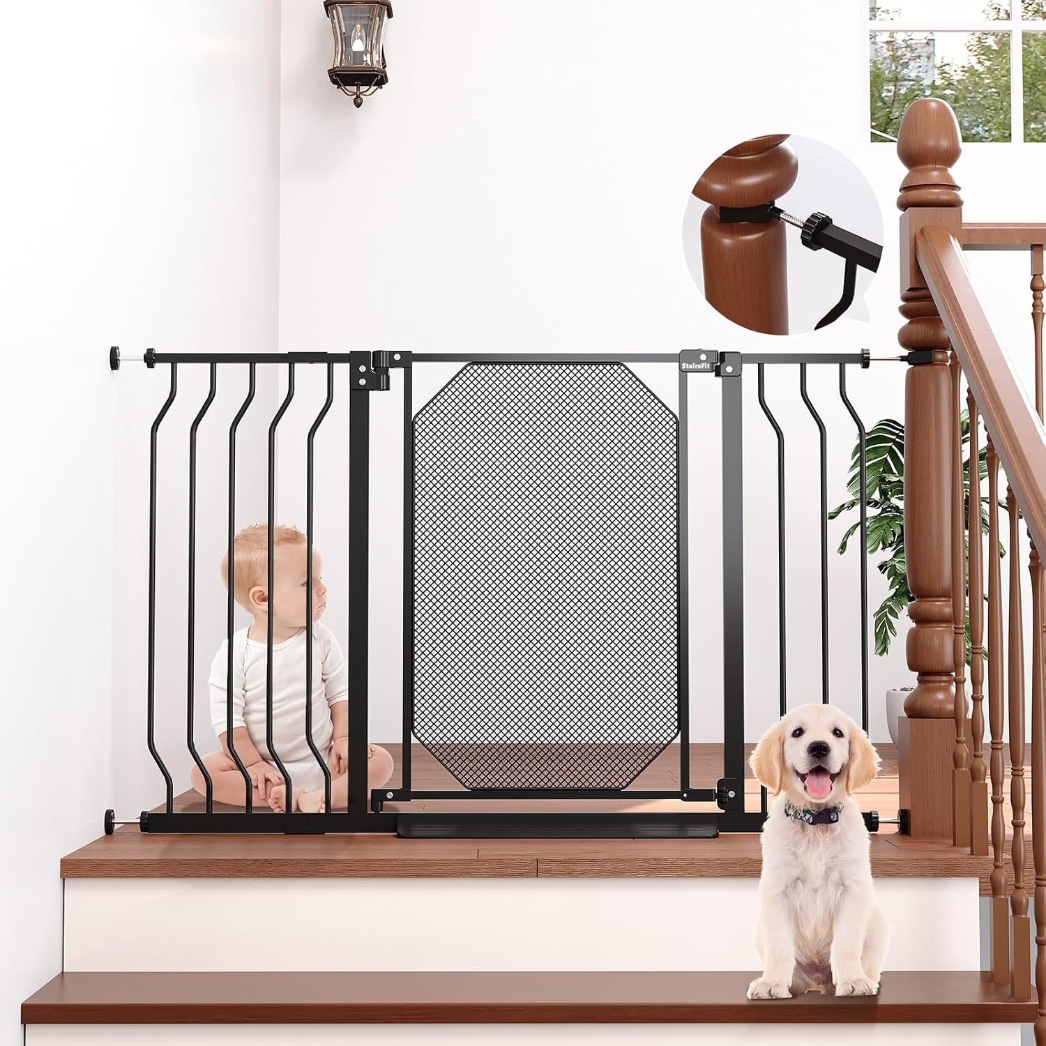 Dog Doors, Gates & Ramps