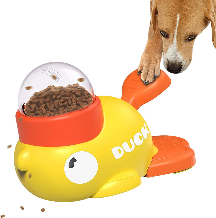 Pawverse interactive and enrichment toys for mental stimulation and fun play.