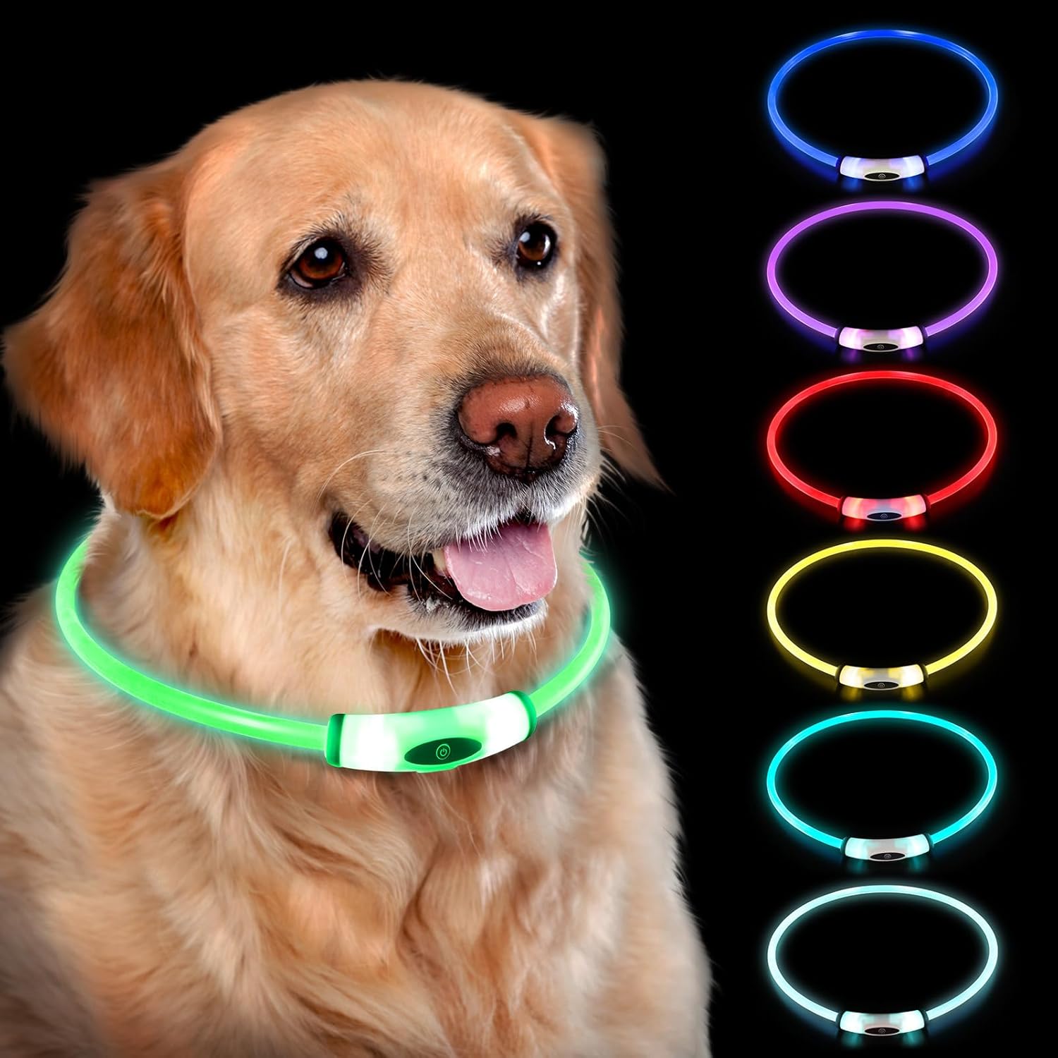 Reflective collars and safety accessories for night visibility during pet walks.