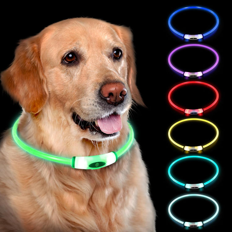 Reflective collars and safety accessories for night visibility during pet walks.