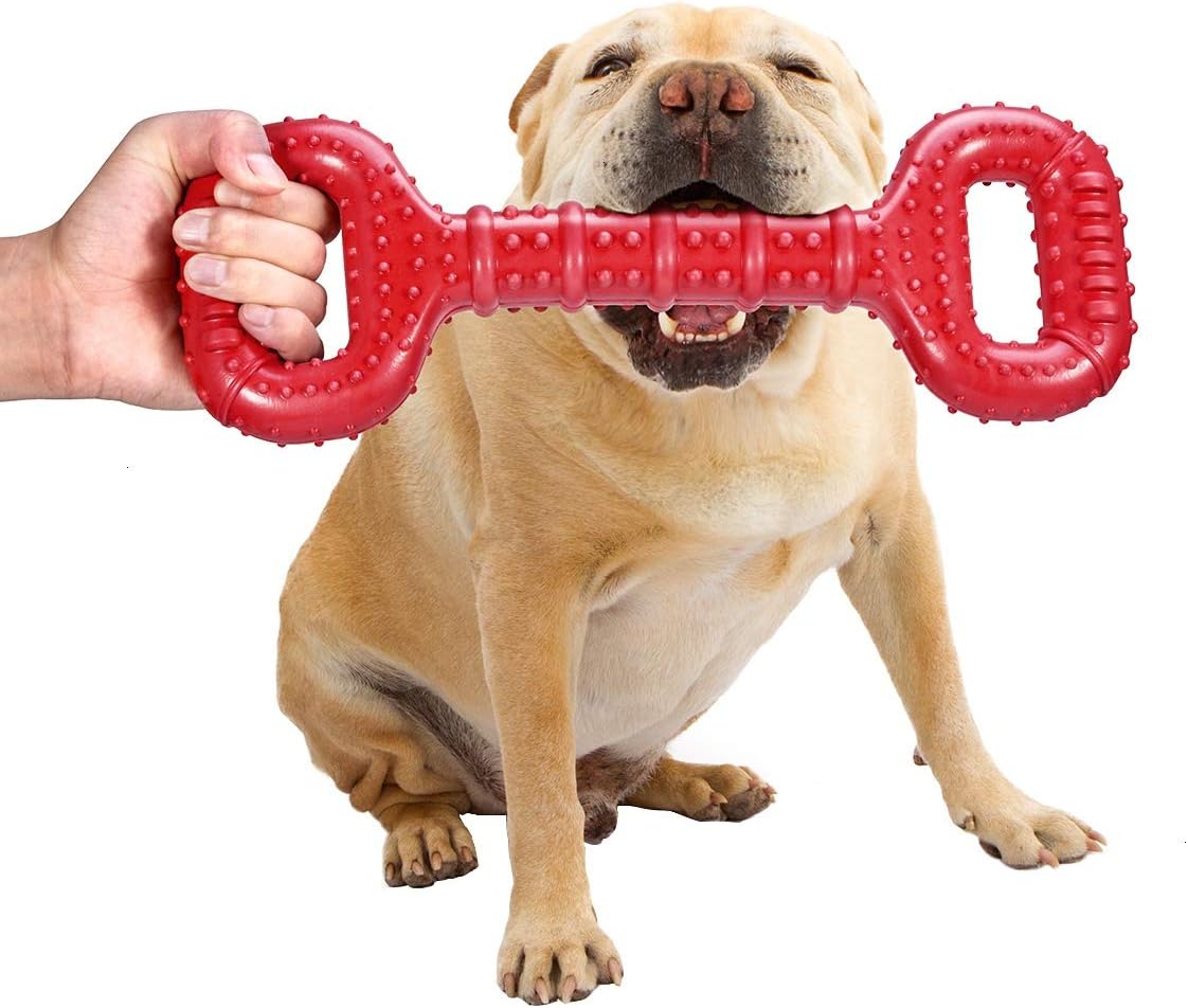 Pawverse rope and tug toys for interactive exercise and bonding play.