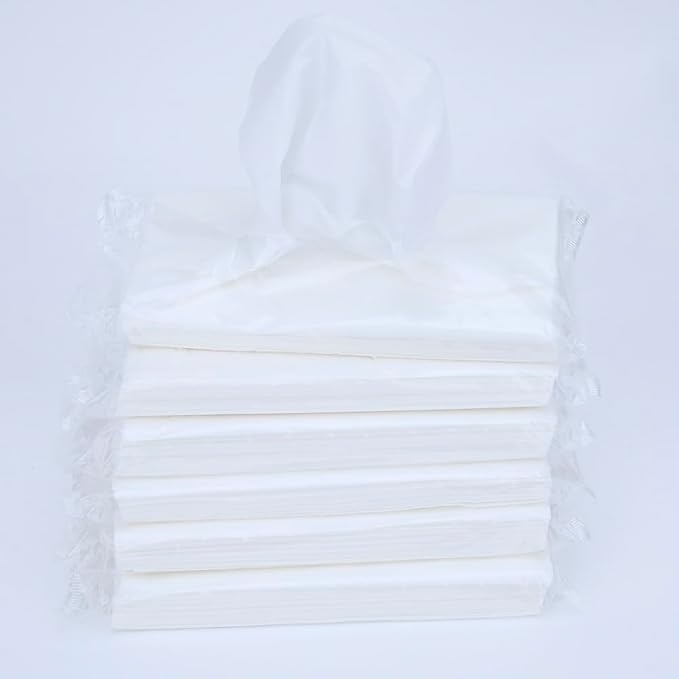 Cartisen Car Tissue Refills,Facial Napkin Refills for Car Visor Tissue Holder,300 Sheets, 6 Packs (6 Pack)