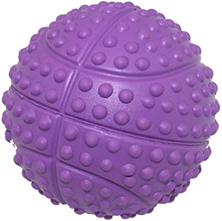Dog Squeaky Toys and Non-Toxic Rubber Play Balls for Interactive Training and Chewing (5.5cm/2.16in Pack of 4)