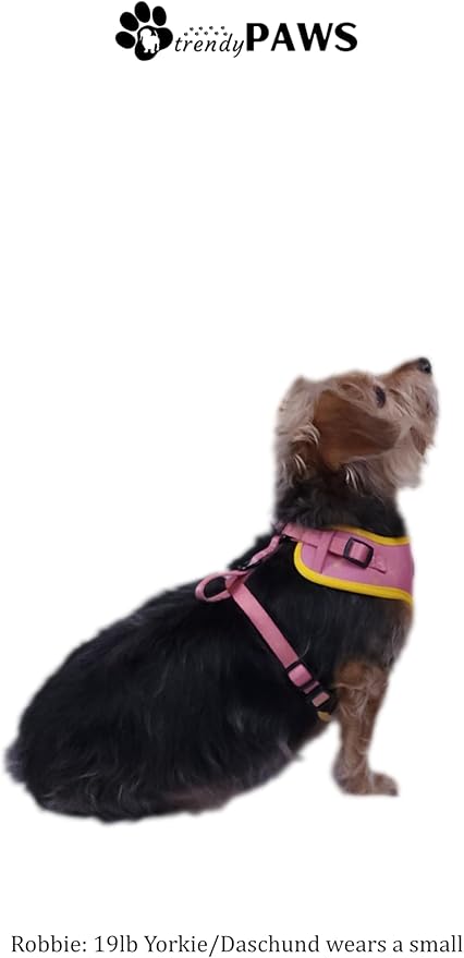 TrendyPaws Dog Harness, Collar and Leash Set, Breathable Mesh, S/M/L Sizes (Rose Gold, Medium)