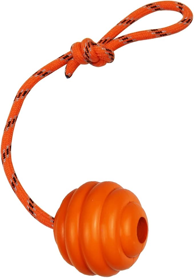 K9 Training Ball with Rope - Indestructible Dog Toy for Training, Pull, Throw, Tug & Fetch - Belgian Malinois Gifts (Pure Orange)