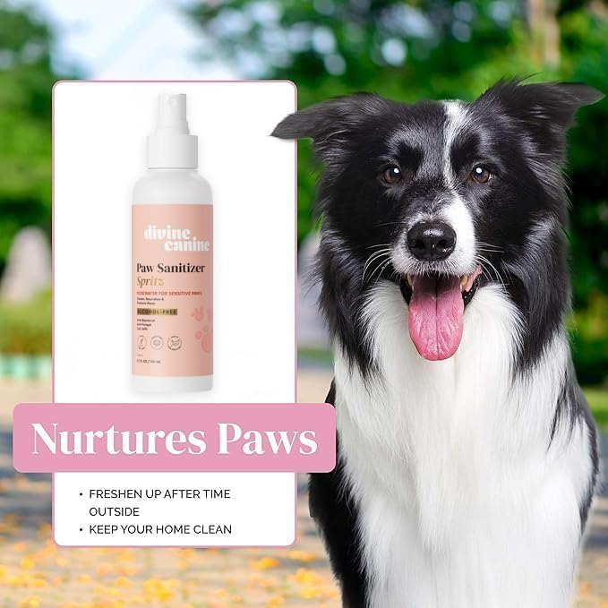 Dog Paw Cleaner - Alcohol Free Paw Cleansing Spray - Made with Coconut, Aloe, Copaiba Oil, and Lemongrass Oil to Nourish and Clean Paws - Made in The USA (Rosewater 2 Oz)