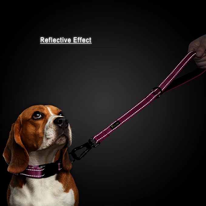 PLUTUS PET Short Training Dog Leash with Padded Handle for Medium Large Big Dogs,18 Inch Heavy Duty Strong Traffic Leash with Carabiner Clip for Climbing Walking or Guiding Blind（18”，Pink