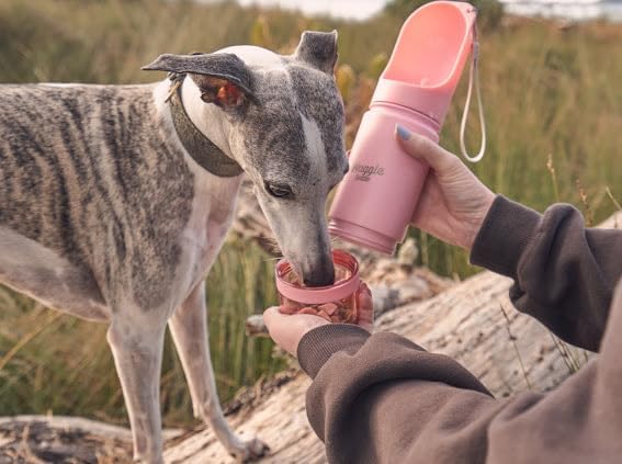 Waggle Bottle Stainless Steel Dog Travel Water Bottle, Vacuum Insulated Portable Dog Water Dispenser, Drink Cup and Snack Container On The Go, Outdoor Walking, Hiking, Travel (Pink)