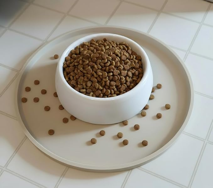 Arespark Dog Food Mat, Nonslip Waterproof Dog Silicone Feeding Bowl Mat with Raised Edges for Floors Prevent Spills, Round Eating Plate Puppy Supplies 10inch