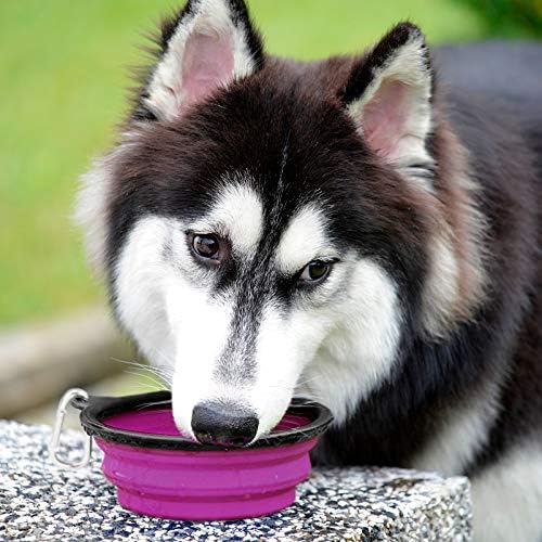 Kytely Large Collapsible Dog Bowls 2 Pack, 34oz Foldable Dog Travel Bowl, Portable Pet Water Food Bowl with Clasp, Pet Cat Feeding Cup Dish for Traveling, Walking, Hiking (Green+Purple)