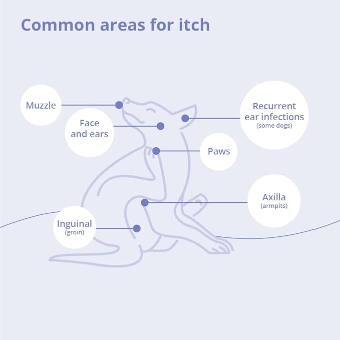 MiconaHex+Triz Shampoo for Dogs, Cats and Horses, 8 oz