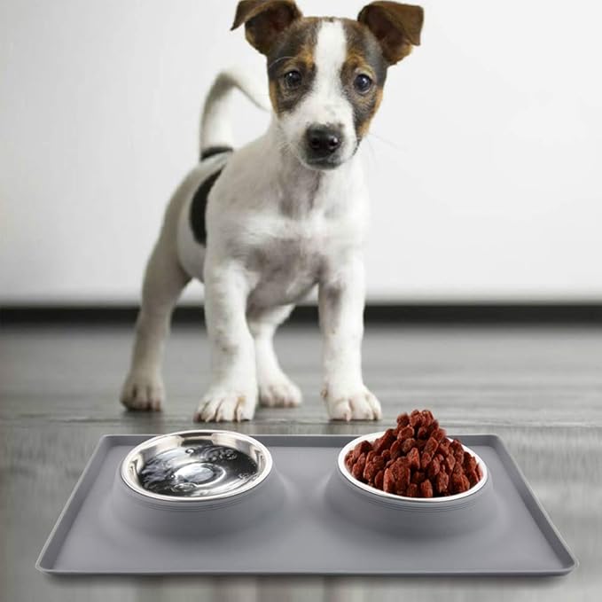 Dog Bowls with Mat, Cat Food Water Bowl Set (13.5oz Each) in No Spill Silicone Mat, Dual Pet Feeder Bowl for Puppy, Cats, Small Medium Dogs (Square, Grey)