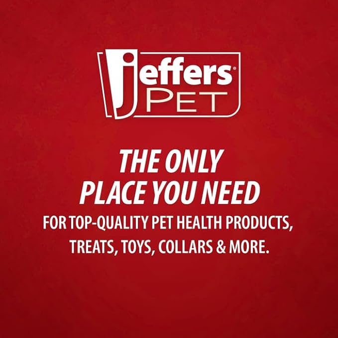 Jeffers Pet Plush Dog Toy with Squeaker, Hedgehog 6" - Cute, Soft Squeaker & Grunting Plush for Small to Medium Dogs, Interactive Play, Cuddle Toy, Perfect, Stocking Stuffer