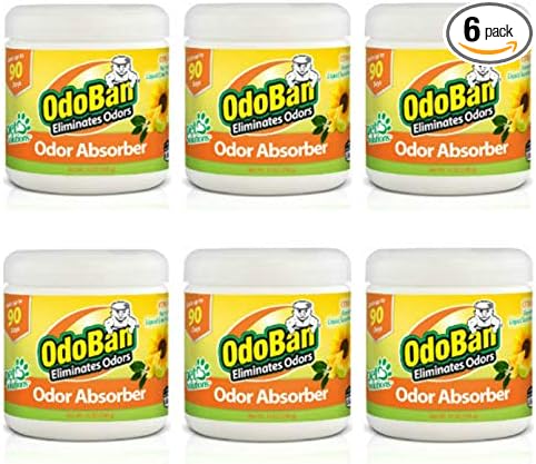 OdoBan Solid Odor Absorber Eliminator for Home and Small Spaces, Citrus Scent, 14 Ounces Each, 6-Pack