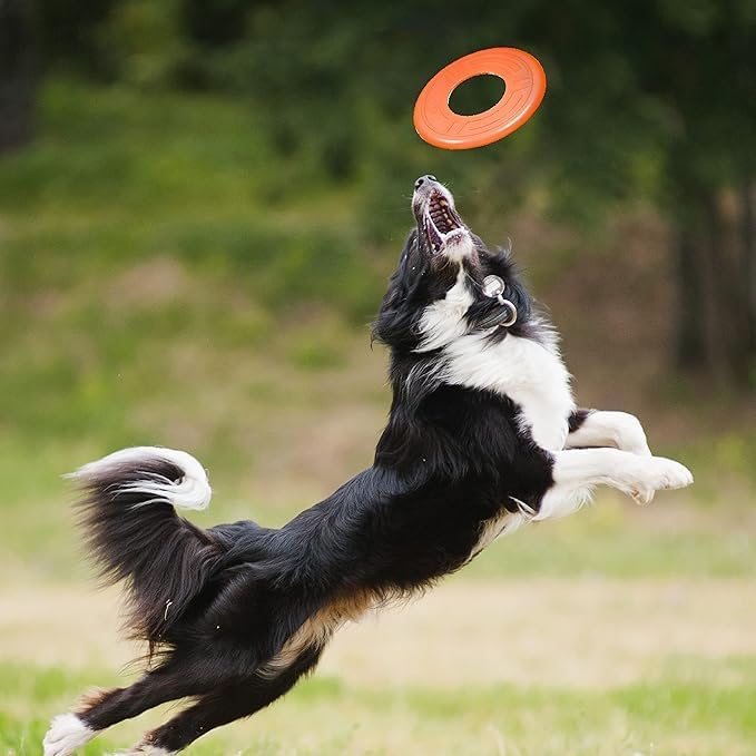 Nerf Dog Atomic Flyer Outdoor Dog Toy, 10 Inch Flying Disc Dog Fetch Toy, Rubber Dog Toy for Medium Dogs and Large Dogs, Orange