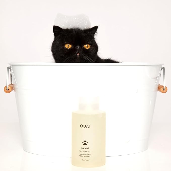 OUAI Fur Bébé Pet Shampoo, Mercer Street Scent - Dog Shampoo and Coat Wash for Hydrating, Cleansing and Adding Shine - Pet Supplies by OUAI (16 Fl Oz)