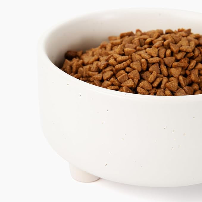 Waggo Uplift Ceramic Dog Bowl for Small Medium and Large Breeds - Heavyweight and Durable Pet Food and Water Dish Crock, Dishwasher Safe, Modern, Elevated Feeder (Speckle, Small)